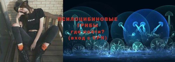 прущая мука Корсаков