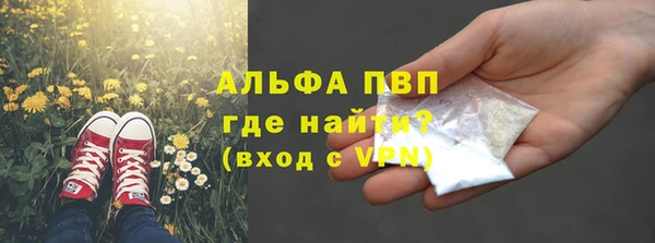 прущая мука Корсаков