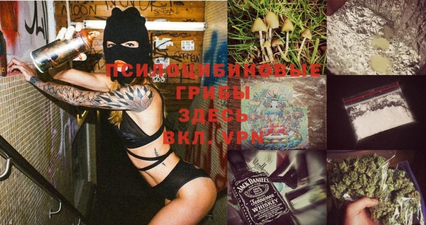 прущая мука Корсаков