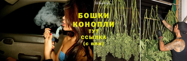 прущая мука Корсаков