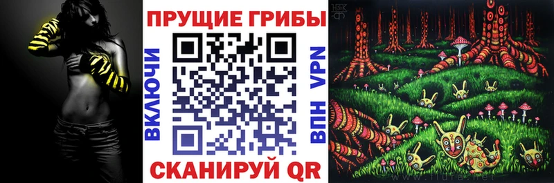 mega ССЫЛКА  как найти закладки  Волгодонск  Галлюциногенные грибы Cubensis 