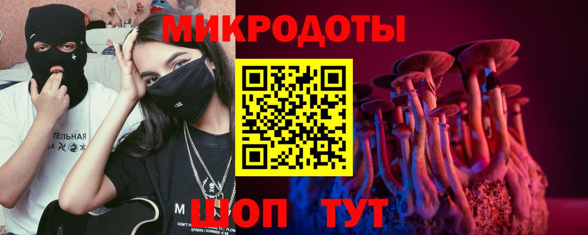 Псилоцибиновые грибы Psilocybe  Волгодонск 